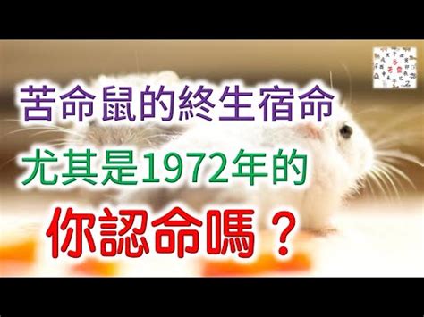 1972年生肖五行|【1972 生肖】「1972年生肖屬鼠：未來命運與運勢大解析」